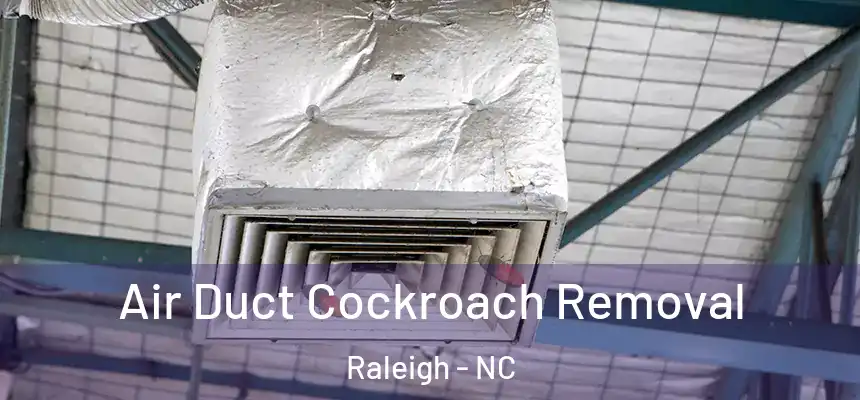 Air Duct Cockroach Removal Raleigh - NC