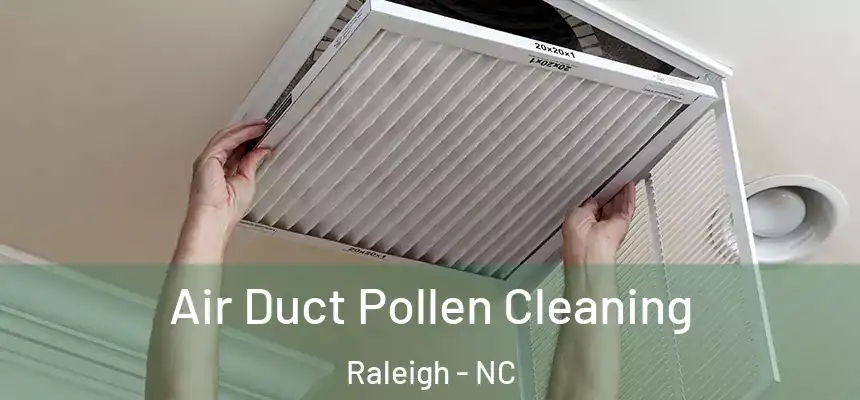 Air Duct Pollen Cleaning Raleigh - NC