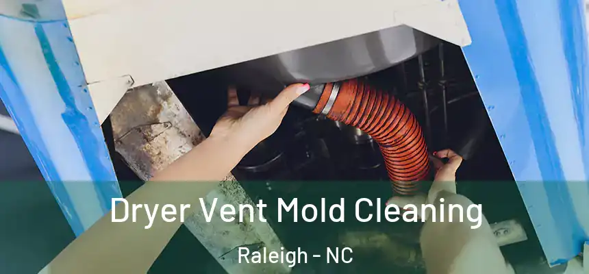 Dryer Vent Mold Cleaning Raleigh - NC