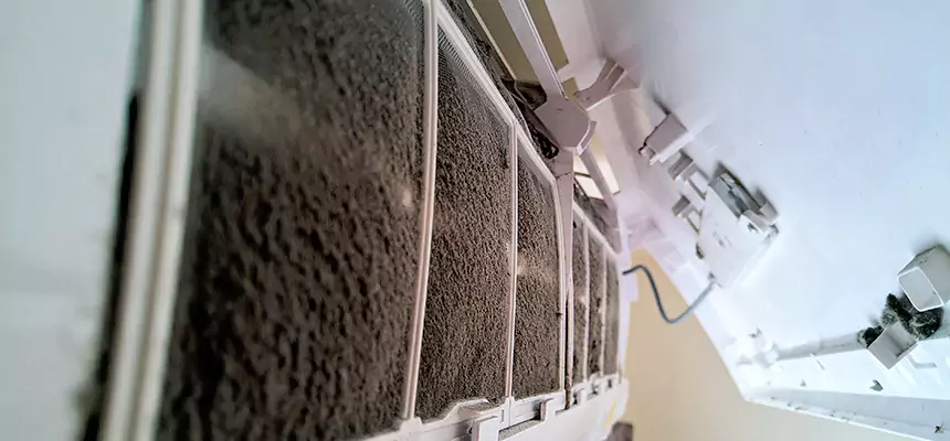 Preventive Air Duct Bacteria Removal in Raleigh