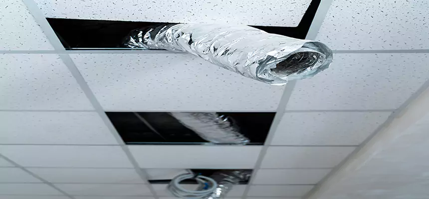 Our Air Duct Pet Hair Removal Services in Raleigh, NC