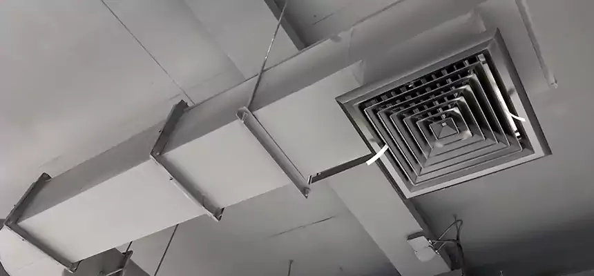 Our Pest Removal From Ducts Services in Raleigh, NC