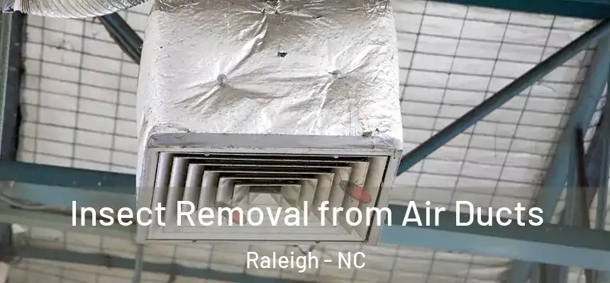 Insect Removal from Air Ducts Raleigh - NC