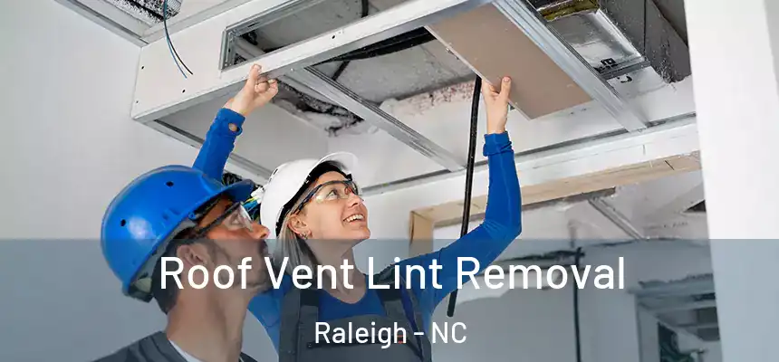 Roof Vent Lint Removal Raleigh - NC
