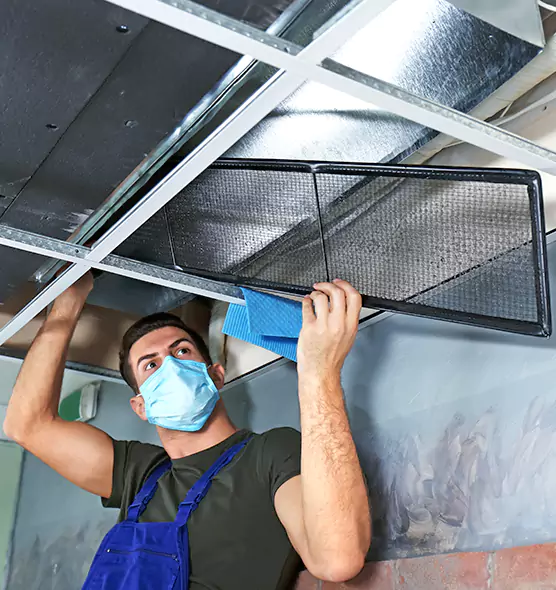 About Air Duct Bacteria Removal in Raleigh