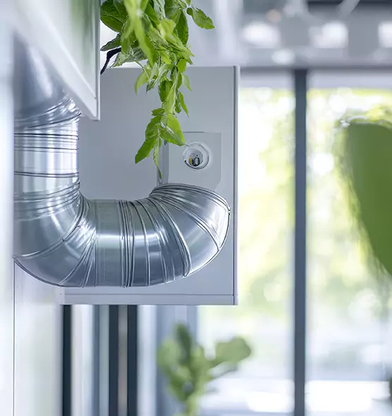 Professional Eco-Safe Dryer Vent Cleaning in Raleigh, NC