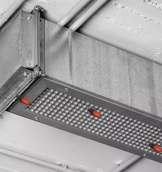 Affordable Insect Removal from Air Ducts in Raleigh, NC