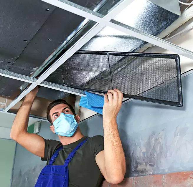 Why Homeowners Businesses Trust Us in Raleigh, NC