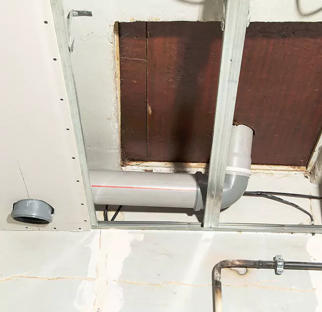 Why Homeowners & Businesses Trust Us in Raleigh, NC?