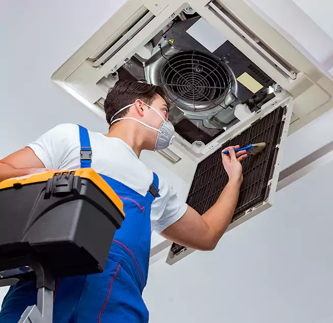 Why Homeowners & Businesses Trust Us in Raleigh, NC