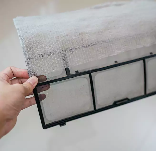 Why Homeowners & Businesses Trust Us in Raleigh, NC?