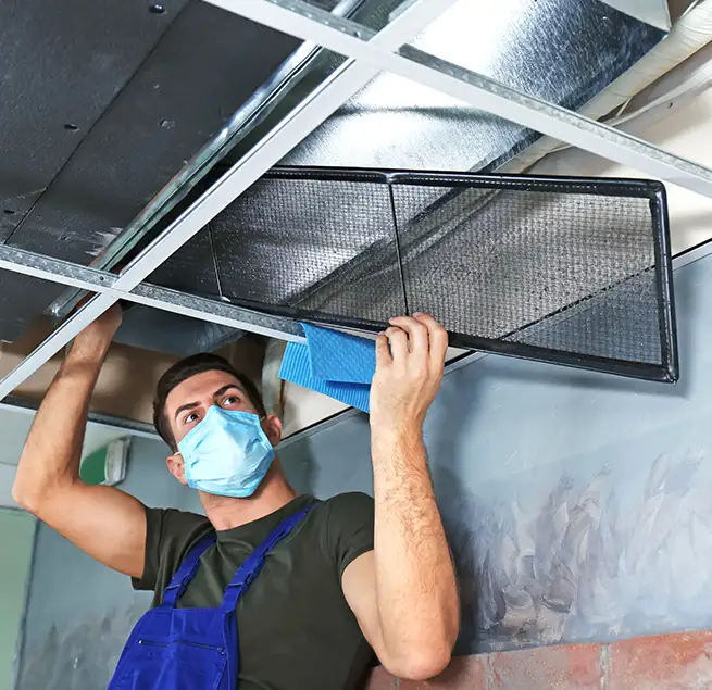 Why Homeowners & Businesses Trust Us in Raleigh, NC?